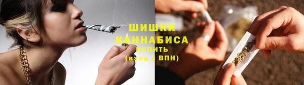 трава Арсеньев