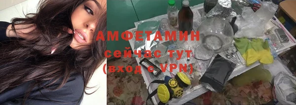трава Арсеньев