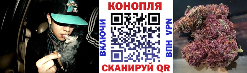Бошки Шишки Bruce Banner  закладки  Мензелинск 